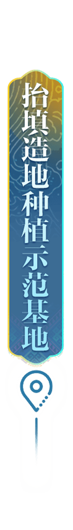 定点-抬填造地种植示范基地