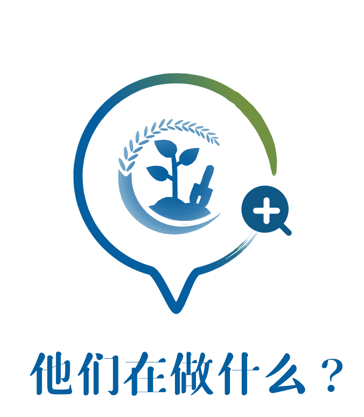 他们在干嘛？
