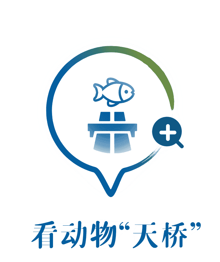 走近看动物“天桥”