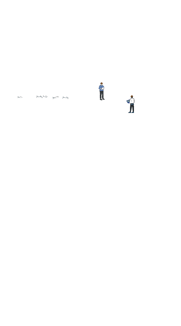 青年枢纽